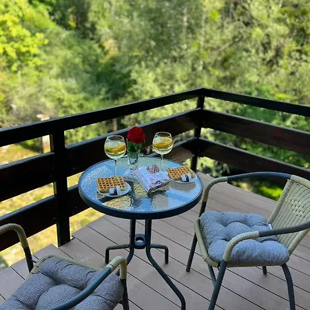 Kuca Na Vodi Ilma Villa *